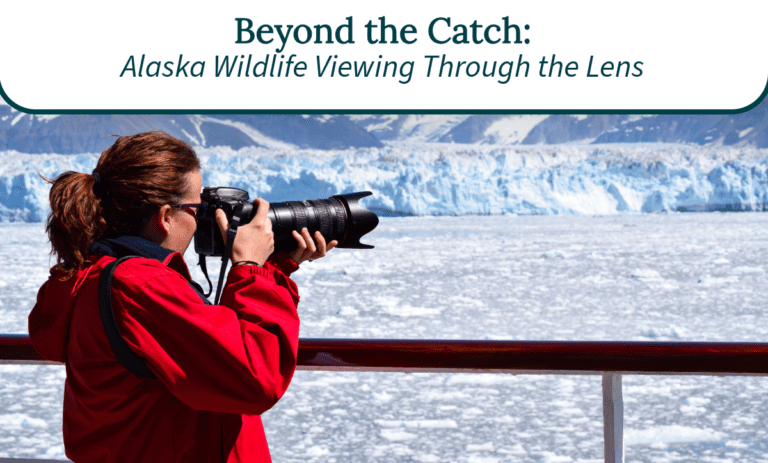 Alaska Wildlife Viewing Photography